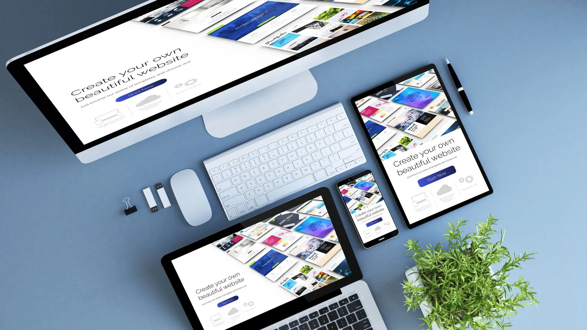 Web Design