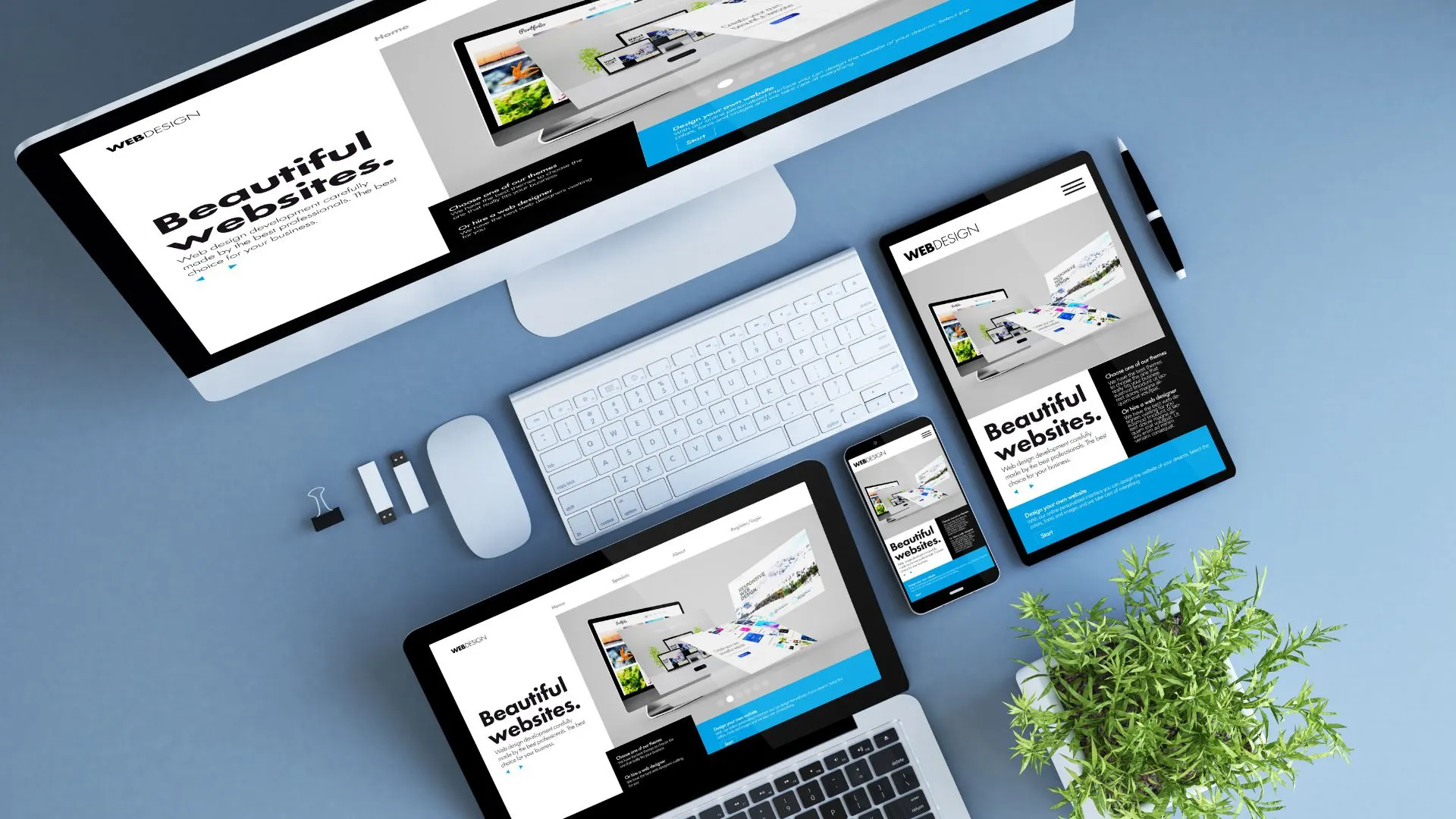 Brand-led website design and development at Brylo